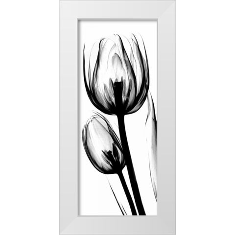 Tulip in BandW White Modern Wood Framed Art Print by Koetsier, Albert