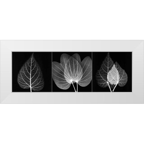 Leaf Triple on Black 2 White Modern Wood Framed Art Print by Koetsier, Albert