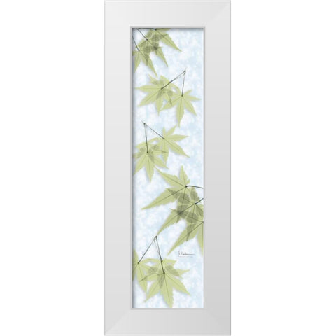 Green on Green Maple White Modern Wood Framed Art Print by Koetsier, Albert