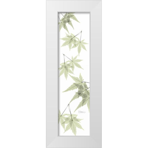 Leaves in Green White Modern Wood Framed Art Print by Koetsier, Albert