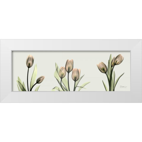 Spring  Tulip Triple White Modern Wood Framed Art Print by Koetsier, Albert