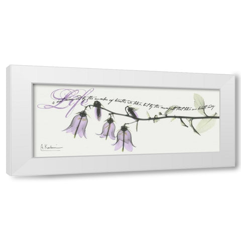 Campanula Life White Modern Wood Framed Art Print by Koetsier, Albert