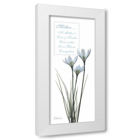 White Rain Lily - Mother White Modern Wood Framed Art Print by Koetsier, Albert