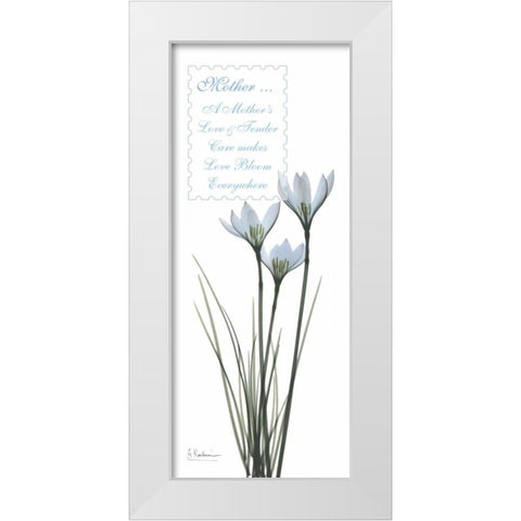 White Rain Lily - Mother White Modern Wood Framed Art Print by Koetsier, Albert