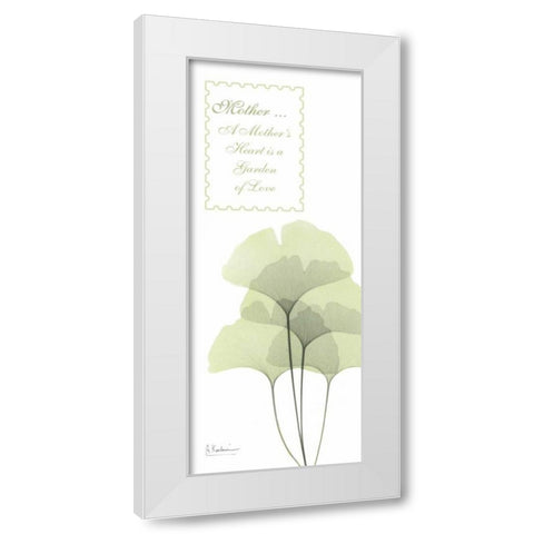 Ginkgo - Mother White Modern Wood Framed Art Print by Koetsier, Albert