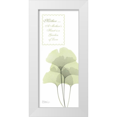 Ginkgo - Mother White Modern Wood Framed Art Print by Koetsier, Albert