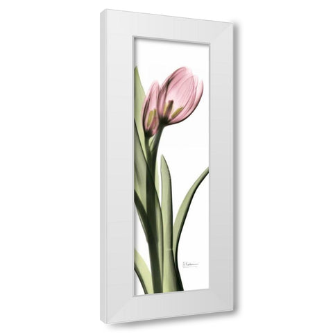 Tulip in Color 1 White Modern Wood Framed Art Print by Koetsier, Albert