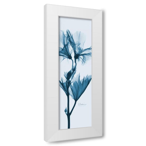 Geranium in Blue White Modern Wood Framed Art Print by Koetsier, Albert