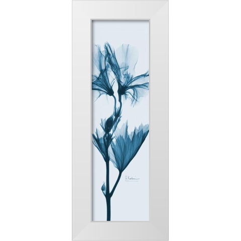 Geranium in Blue White Modern Wood Framed Art Print by Koetsier, Albert