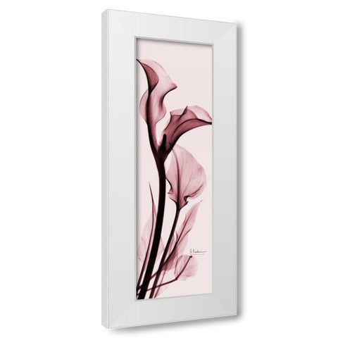 Calla Lily on Pink White Modern Wood Framed Art Print by Koetsier, Albert