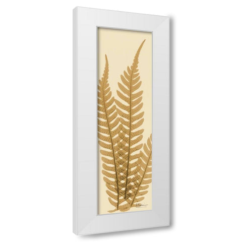 Tree Fern Brown on Beige White Modern Wood Framed Art Print by Koetsier, Albert