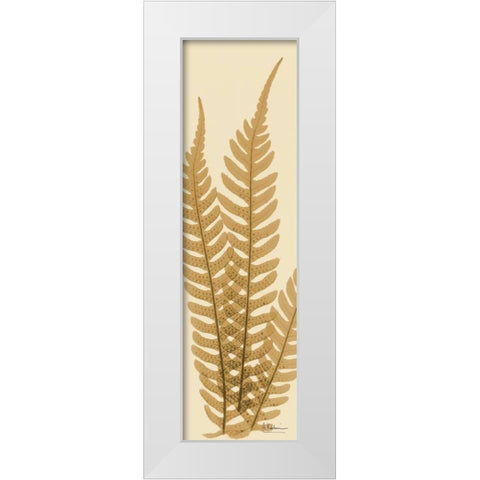 Tree Fern Brown on Beige White Modern Wood Framed Art Print by Koetsier, Albert