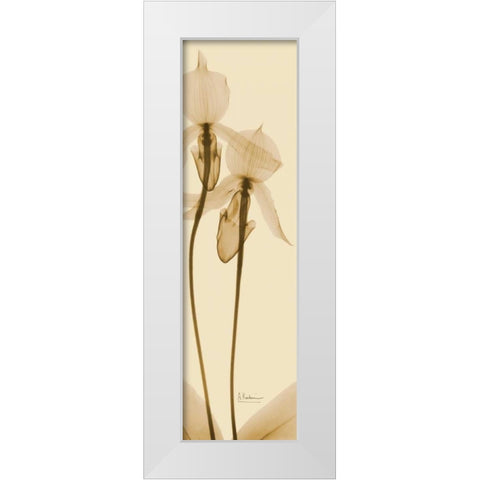 Orchid Brown on Beige 2 White Modern Wood Framed Art Print by Koetsier, Albert