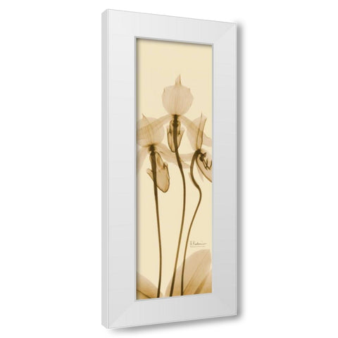 Orchid Brown on Beige White Modern Wood Framed Art Print by Koetsier, Albert