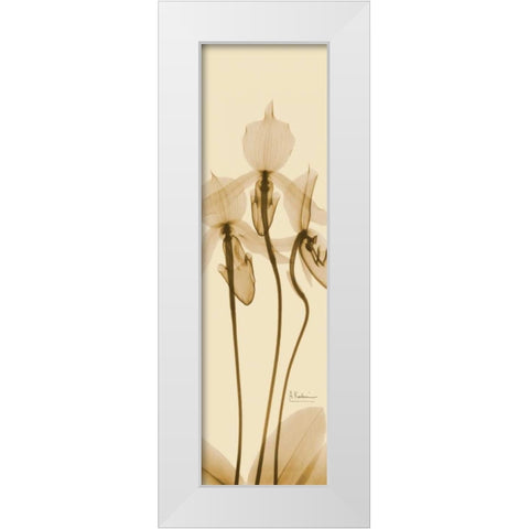 Orchid Brown on Beige White Modern Wood Framed Art Print by Koetsier, Albert