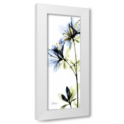 Blue Azalea White Modern Wood Framed Art Print by Koetsier, Albert