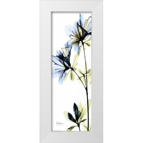 Blue Azalea White Modern Wood Framed Art Print by Koetsier, Albert