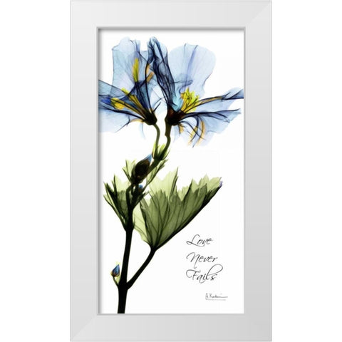 Geranium White Modern Wood Framed Art Print by Koetsier, Albert