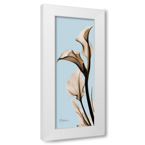 Calla Lily White Modern Wood Framed Art Print by Koetsier, Albert
