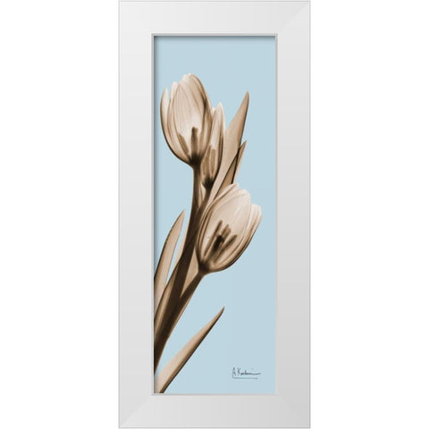 Tulip White Modern Wood Framed Art Print by Koetsier, Albert