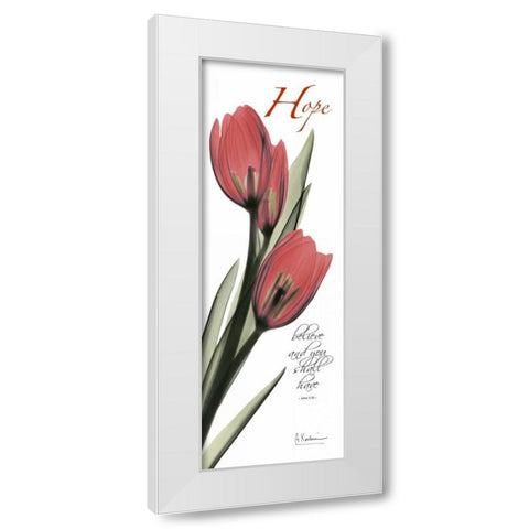 Tulips in Red  - Hope White Modern Wood Framed Art Print by Koetsier, Albert