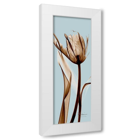 Tulip Brown on Blue White Modern Wood Framed Art Print by Koetsier, Albert