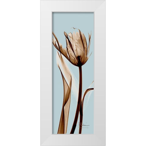 Tulip Brown on Blue White Modern Wood Framed Art Print by Koetsier, Albert