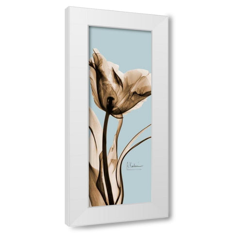 Tulip Brown on Blue 2 White Modern Wood Framed Art Print by Koetsier, Albert