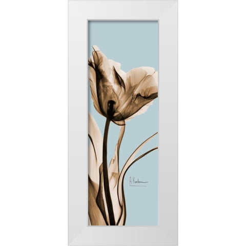 Tulip Brown on Blue 2 White Modern Wood Framed Art Print by Koetsier, Albert