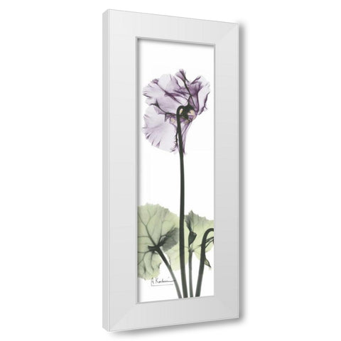 Cyclamen in Purple White Modern Wood Framed Art Print by Koetsier, Albert