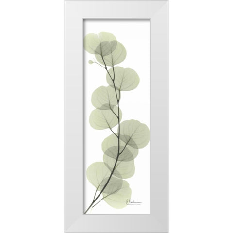 Eucalyptus in Green White Modern Wood Framed Art Print by Koetsier, Albert