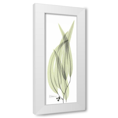 Eucalyptus in Green 2 White Modern Wood Framed Art Print by Koetsier, Albert