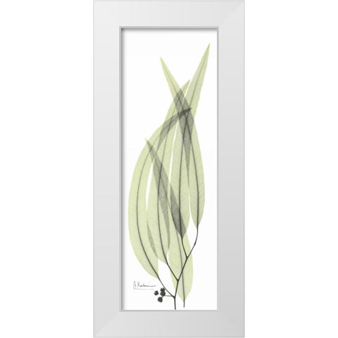 Eucalyptus in Green 2 White Modern Wood Framed Art Print by Koetsier, Albert