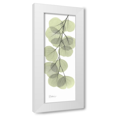 Eucalyptus in Green 3 White Modern Wood Framed Art Print by Koetsier, Albert