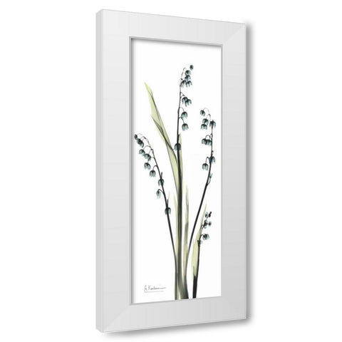 Lily of the Valley in Blue White Modern Wood Framed Art Print by Koetsier, Albert