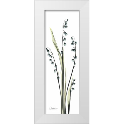 Lily of the Valley in Blue White Modern Wood Framed Art Print by Koetsier, Albert