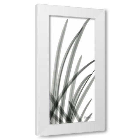 Snow Drop Leaves White Modern Wood Framed Art Print by Koetsier, Albert