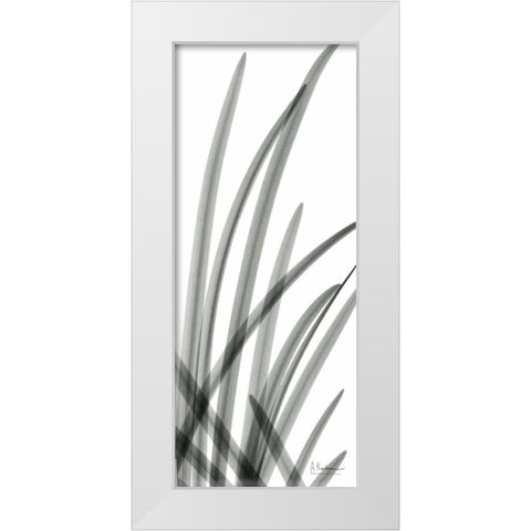 Snow Drop Leaves White Modern Wood Framed Art Print by Koetsier, Albert