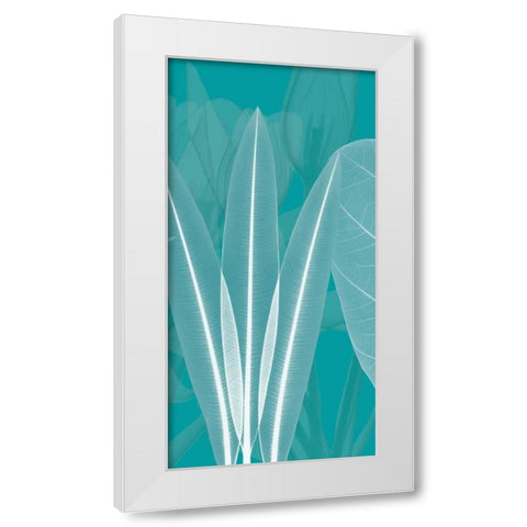 Teal White Modern Wood Framed Art Print by Koetsier, Albert