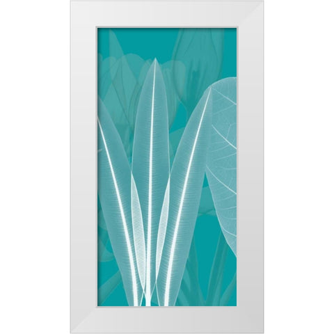 Teal White Modern Wood Framed Art Print by Koetsier, Albert