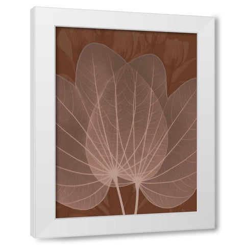 Orchid Tree Fan White Modern Wood Framed Art Print by Koetsier, Albert