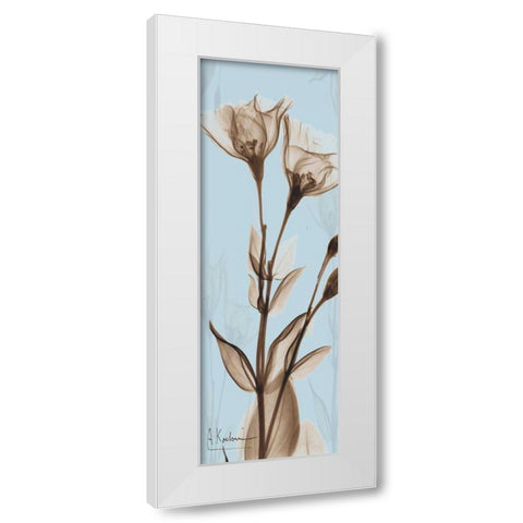 Flower 1 White Modern Wood Framed Art Print by Koetsier, Albert