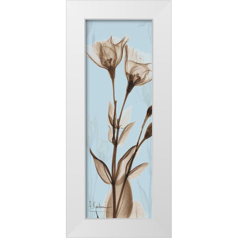 Flower 1 White Modern Wood Framed Art Print by Koetsier, Albert