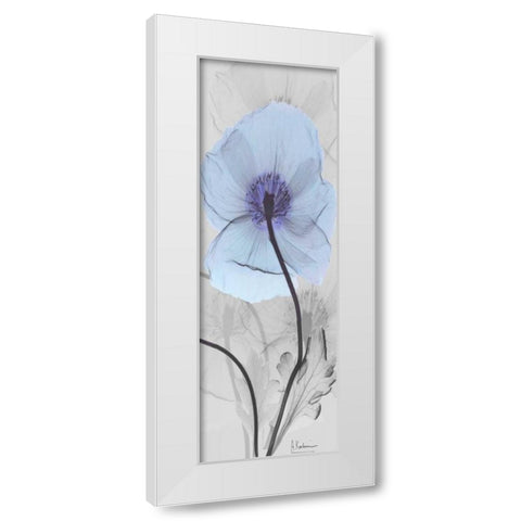 Iceland Poppy White Modern Wood Framed Art Print by Koetsier, Albert