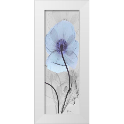 Iceland Poppy White Modern Wood Framed Art Print by Koetsier, Albert