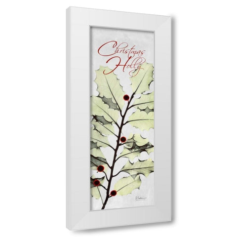 Christmas Calla Lily White Modern Wood Framed Art Print by Koetsier, Albert