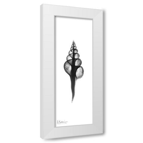 Fusinus Colus White Modern Wood Framed Art Print by Koetsier, Albert