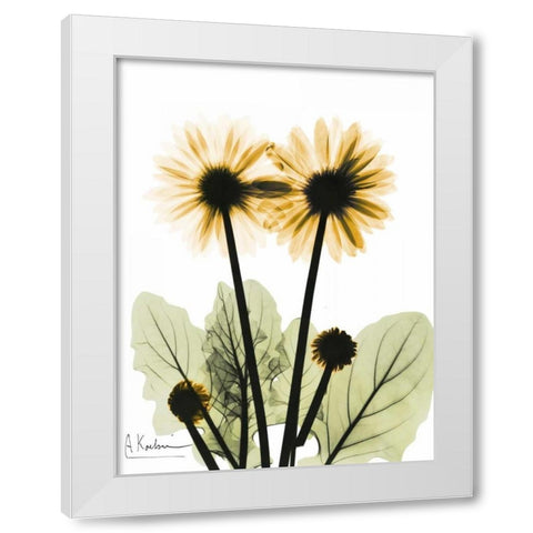 Gerbera in Color 2 White Modern Wood Framed Art Print by Koetsier, Albert