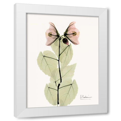 Abutulon Pair White Modern Wood Framed Art Print by Koetsier, Albert