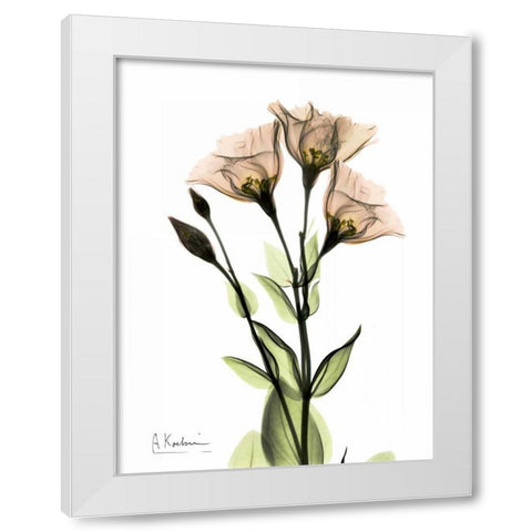 Gentian 3 White Modern Wood Framed Art Print by Koetsier, Albert